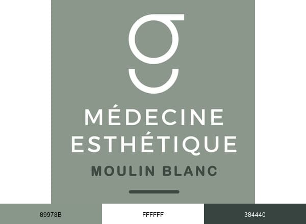 Cabinet médecine esthétique & lasers Moulin Blanc brand color palette