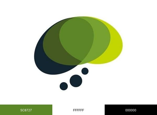 MedullaTeam brand color palette