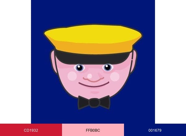 Megabus brand color palette