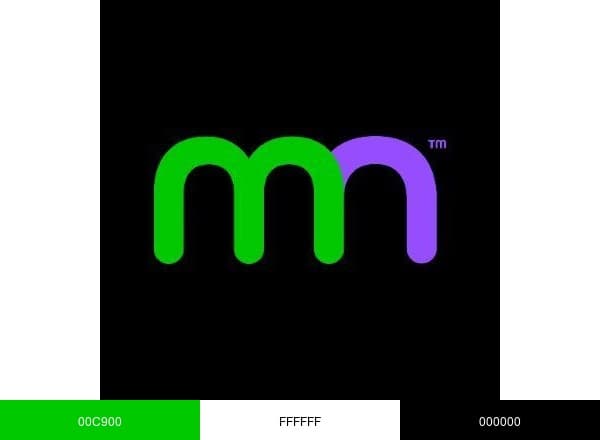 Metronet Fiber brand color palette