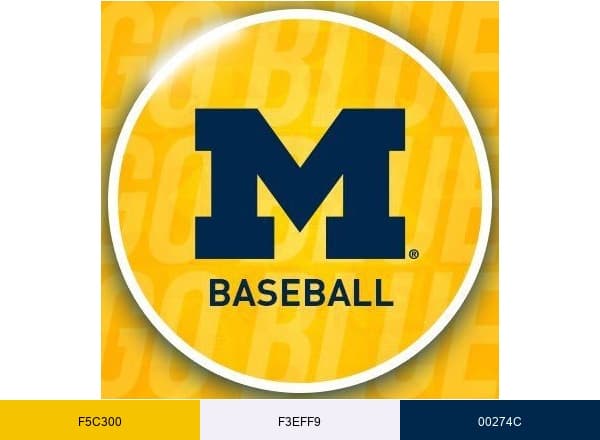 Michigan Baseball brand color palette