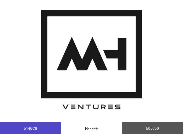 MH Ventures brand color palette