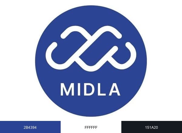 Midla Consulting brand color palette