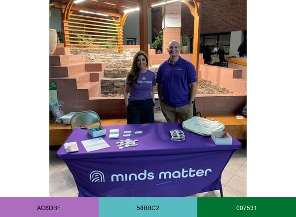 Minds Matter LLC brand color palette