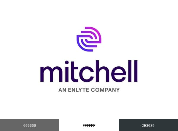 Mitchell International brand color palette