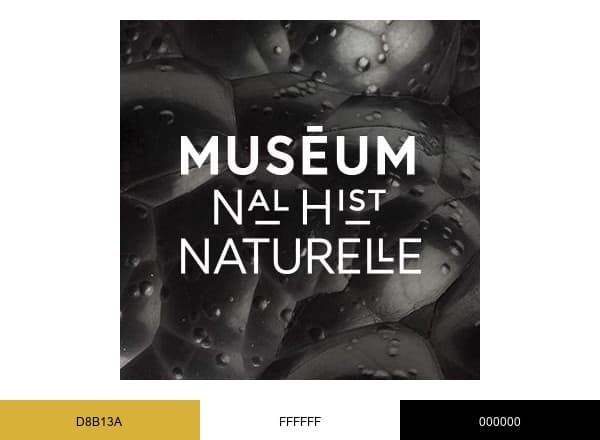 Muséum national d'Histoire naturelle brand color palette