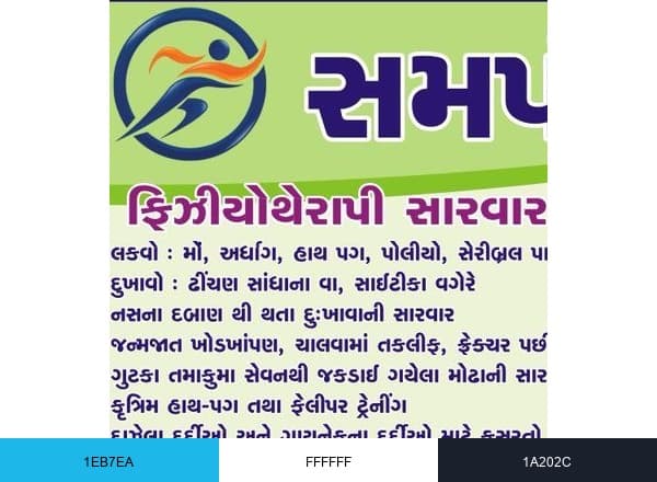 Samarpan Physiotherapy Clinic brand color palette