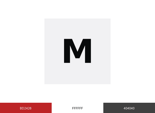 MODERN LUXURY brand color palette