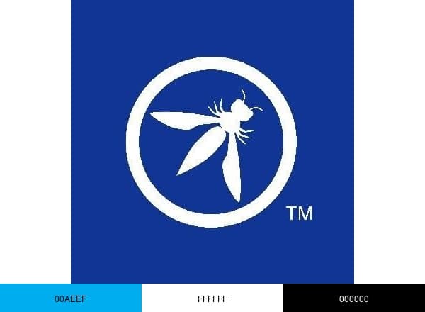 OWASP brand color palette