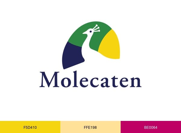 Molecaten brand color palette