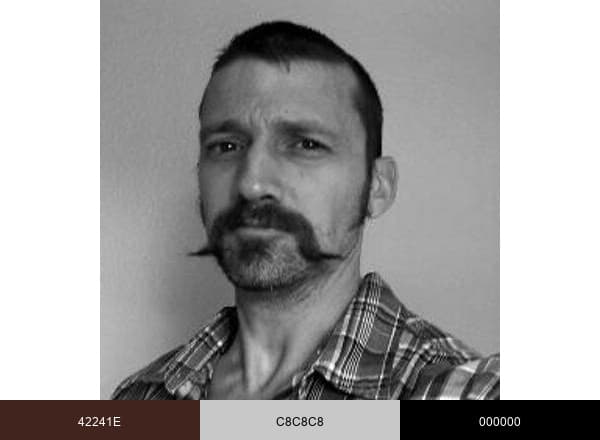 Mr. Money Mustache brand color palette