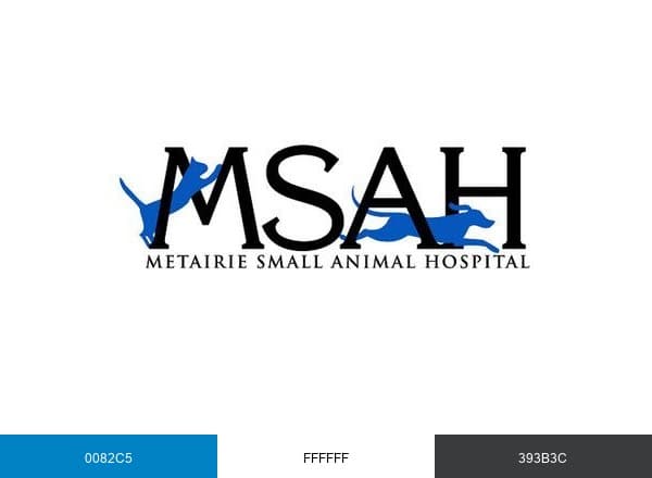 MSAH brand color palette