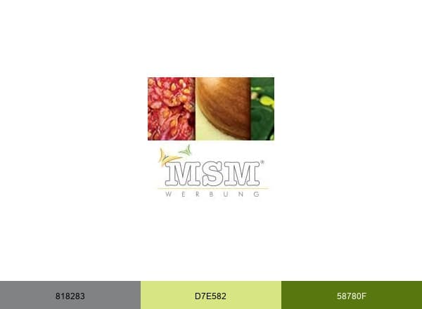 MSM brand color palette
