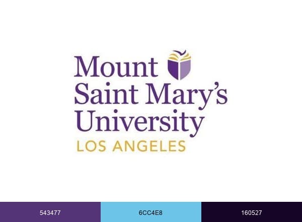 #MSMUnstoppable brand color palette
