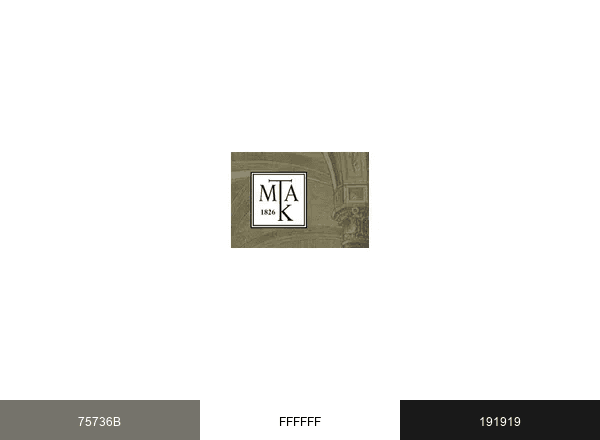 MTAK brand color palette