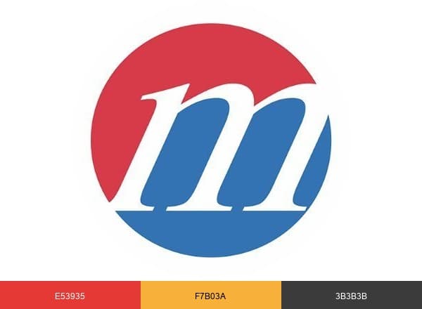 Mustakbil.com brand color palette