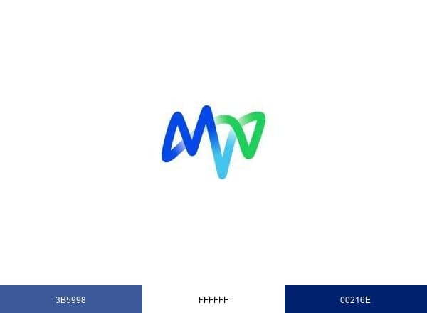 MVV brand color palette