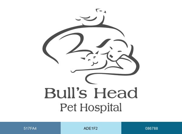 Bull's Head Pet Hospital brand color palette