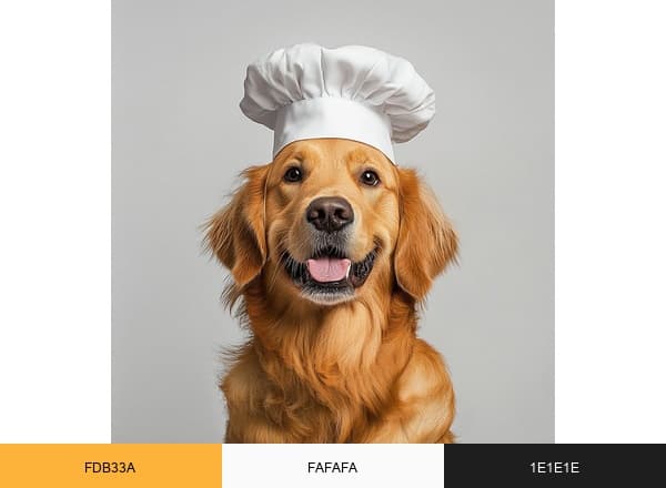 Homemade Dog Recipes brand color palette