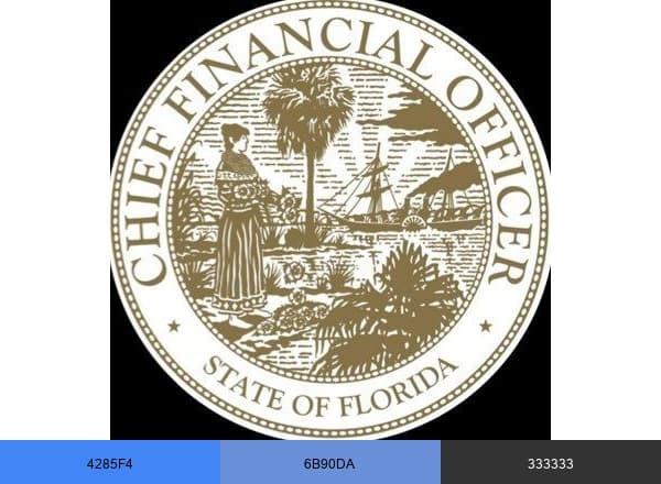 FL DFS brand color palette