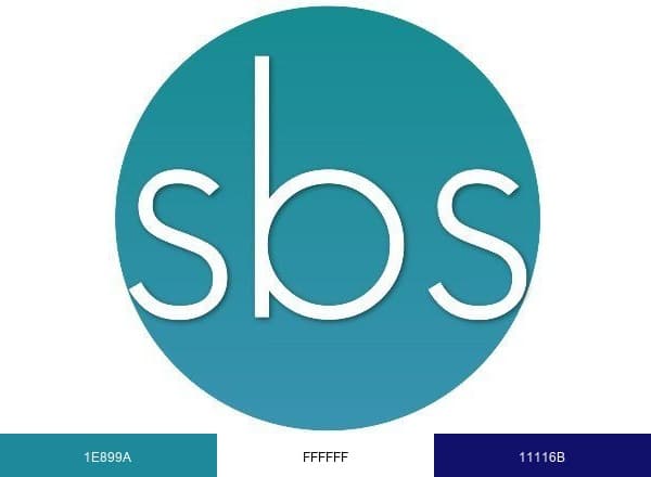 Smart Business Solutions brand color palette