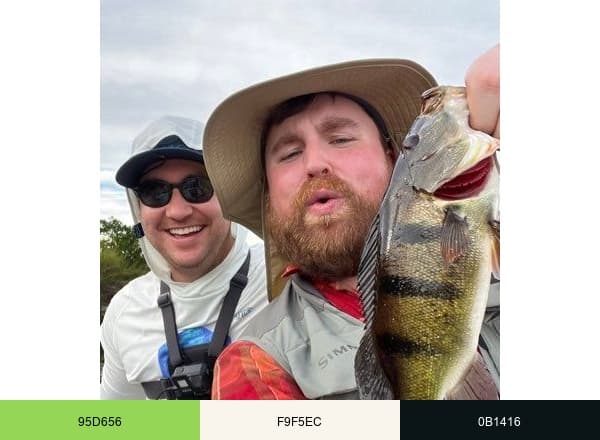 Mystery Tackle Box brand color palette