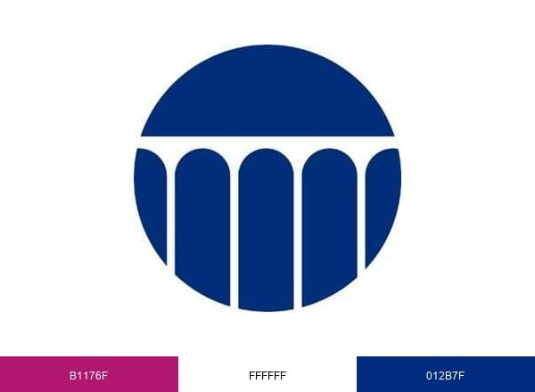 National Academy of Engineering brand color palette