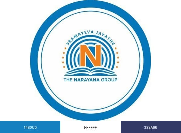 The Narayana Group brand color palette