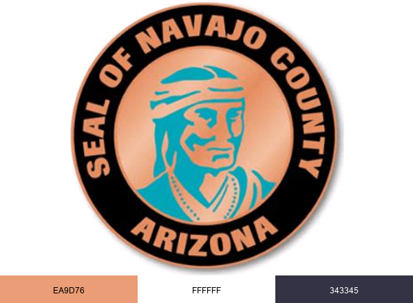 Navajo County brand color palette