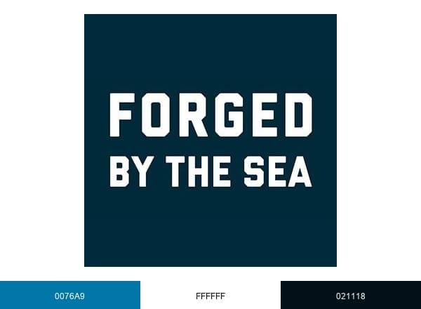 America's Navy brand color palette
