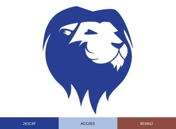 North Central Texas College brand color palette