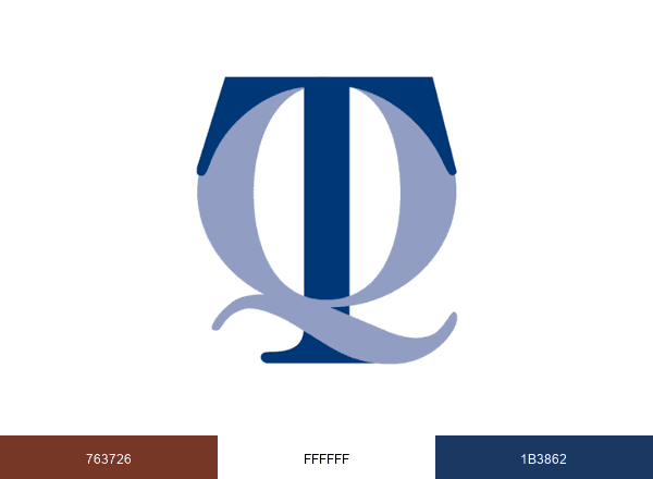 NCTQ brand color palette