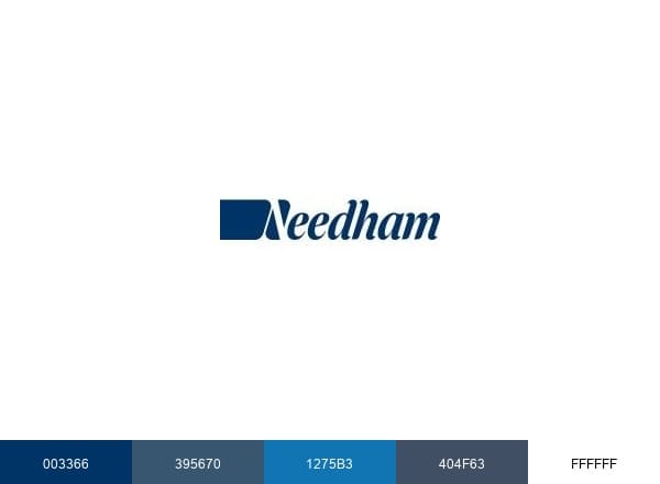 Needham & Company brand color palette