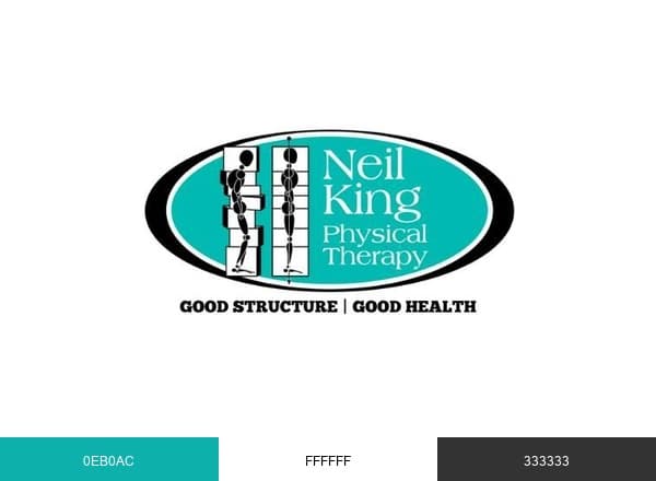 Neil King Physical Therapy brand color palette