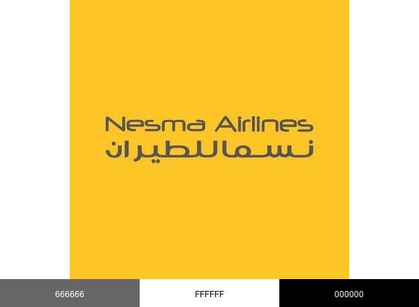 Nesma Airlines brand color palette