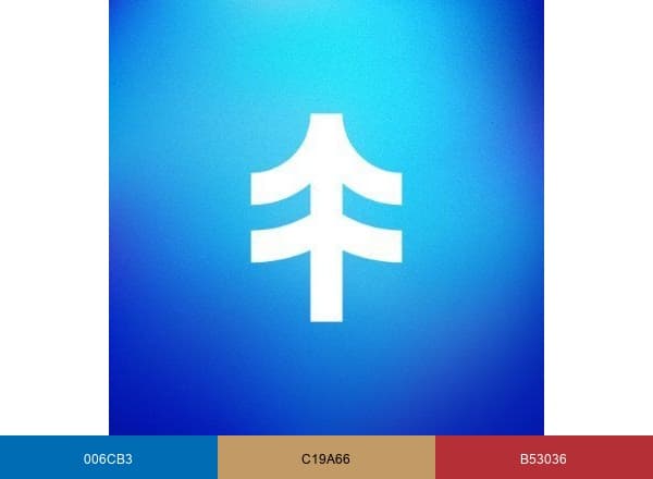 NETA brand color palette