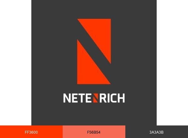 Netenrich brand color palette