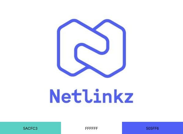 Netlinkz brand color palette