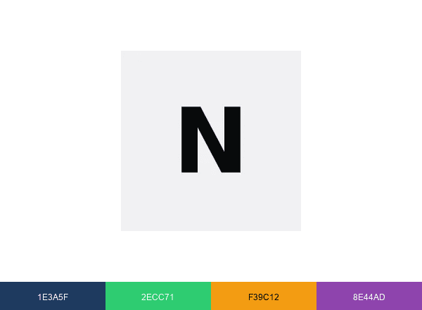 NetrX Digital brand color palette