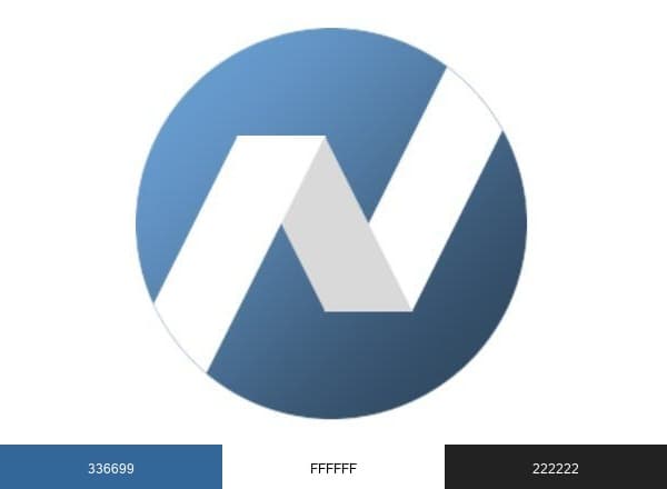 Nettica Corporation brand color palette
