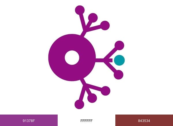 NeuroAvanza Fisioterapia brand color palette