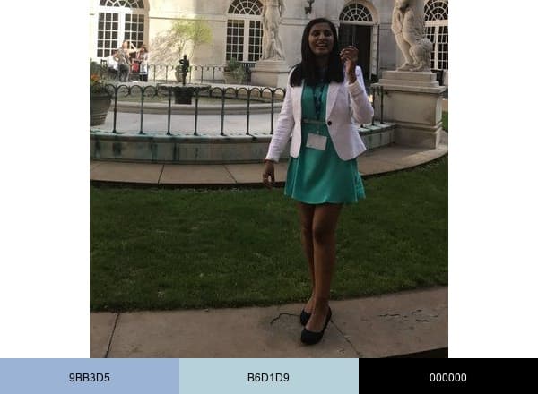 Anisha Desai 🧠 brand color palette