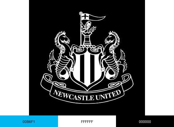 Newcastle United brand color palette