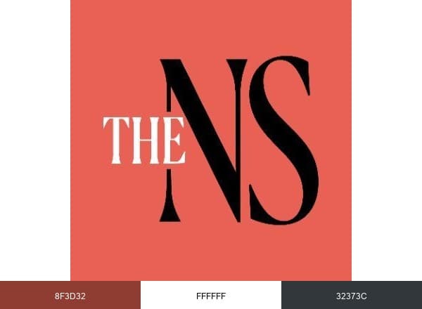 The New Statesman brand color palette