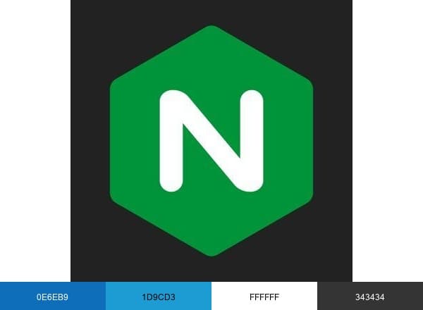 NGINX brand color palette
