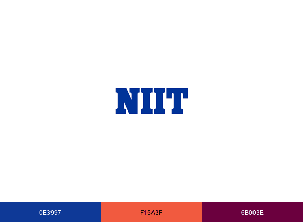 NIIT Limited brand color palette