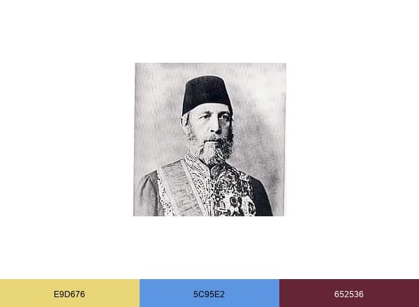 Nisanyan Himself brand color palette