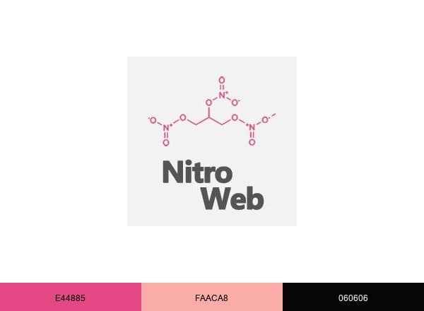 NitroWeb Development brand color palette