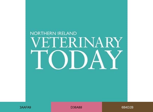 NI Vet Today brand color palette
