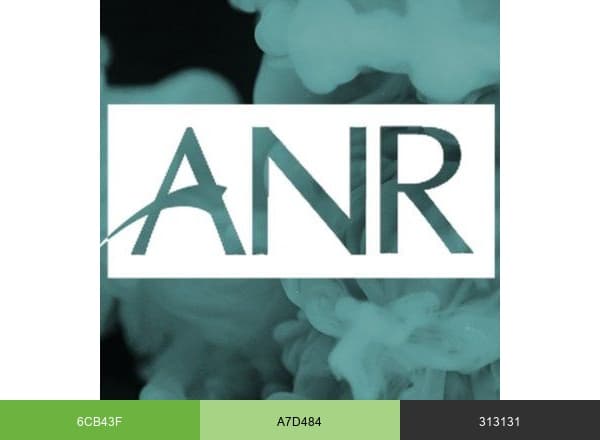 ANR brand color palette